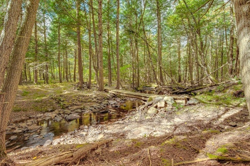 Spacious and Secluded Forksville Home Fire Pit image 21